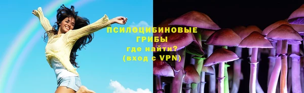 дурь Алексеевка