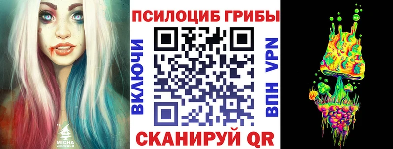 Псилоцибиновые грибы Psilocybe  Ипатово 